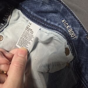 American Eagle Jeans 14 Long